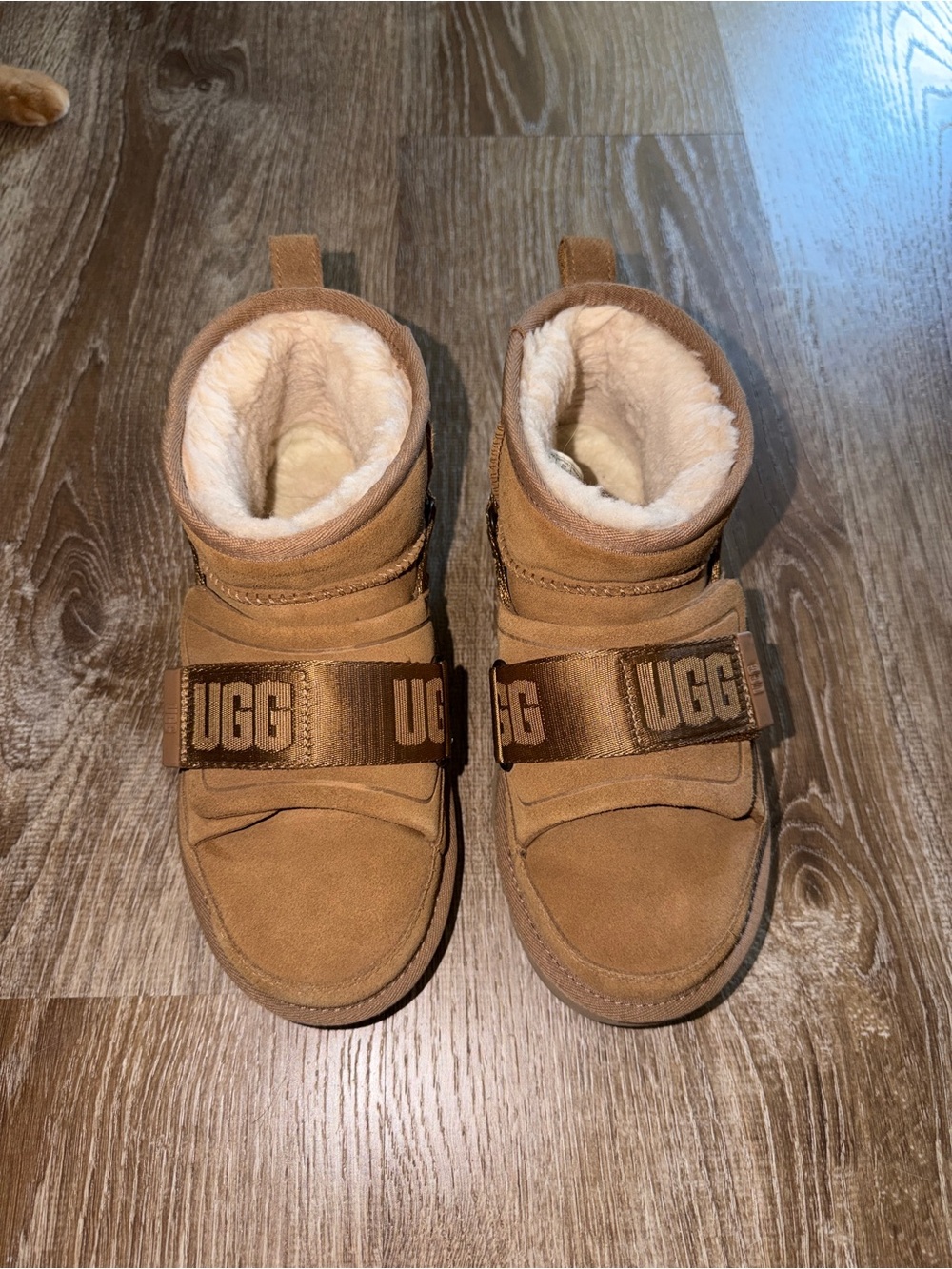 UGG Chestnut Mini Strap Boots